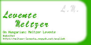 levente meltzer business card